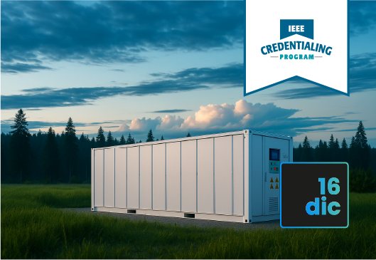 Programa de Especialización Sistemas de Almacenamiento de Energía en Baterías