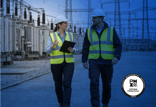 Curso de Especialización Gestión de Riesgos en Proyectos del sector eléctrico